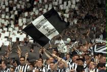 The Toon Army